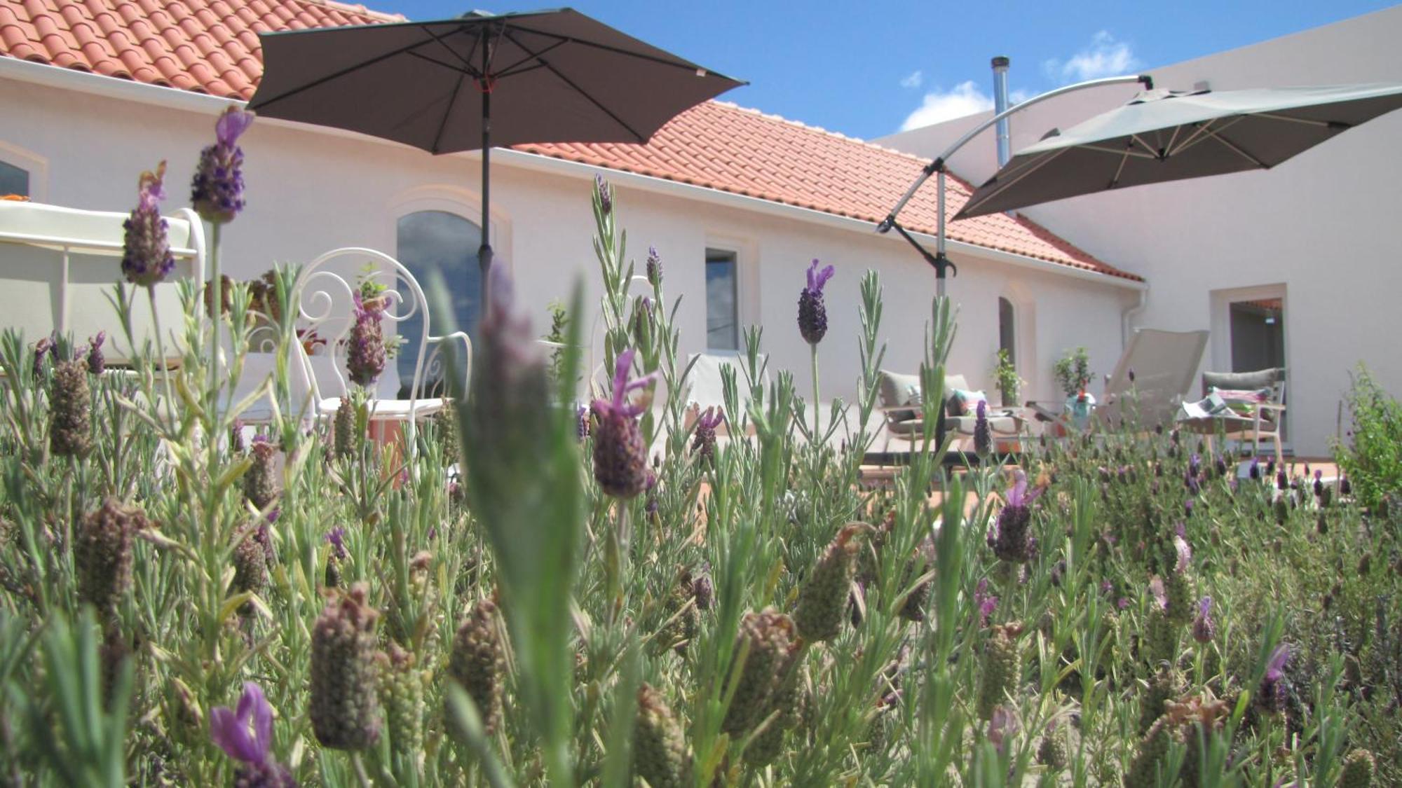 Entre Vinhas & Mar Villa Obidos Ngoại thất bức ảnh