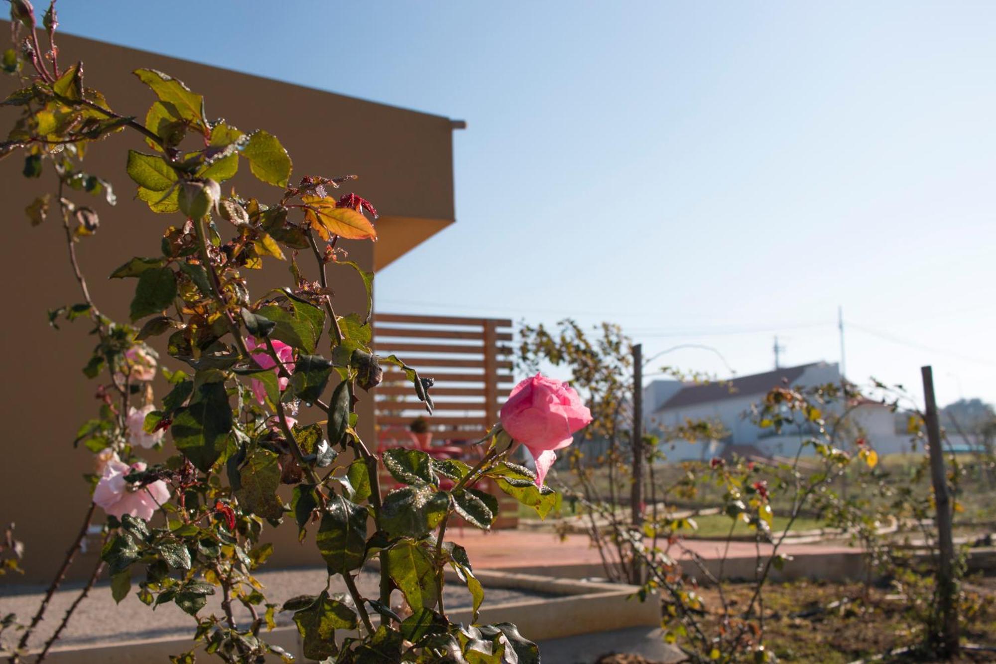 Entre Vinhas & Mar Villa Obidos Ngoại thất bức ảnh