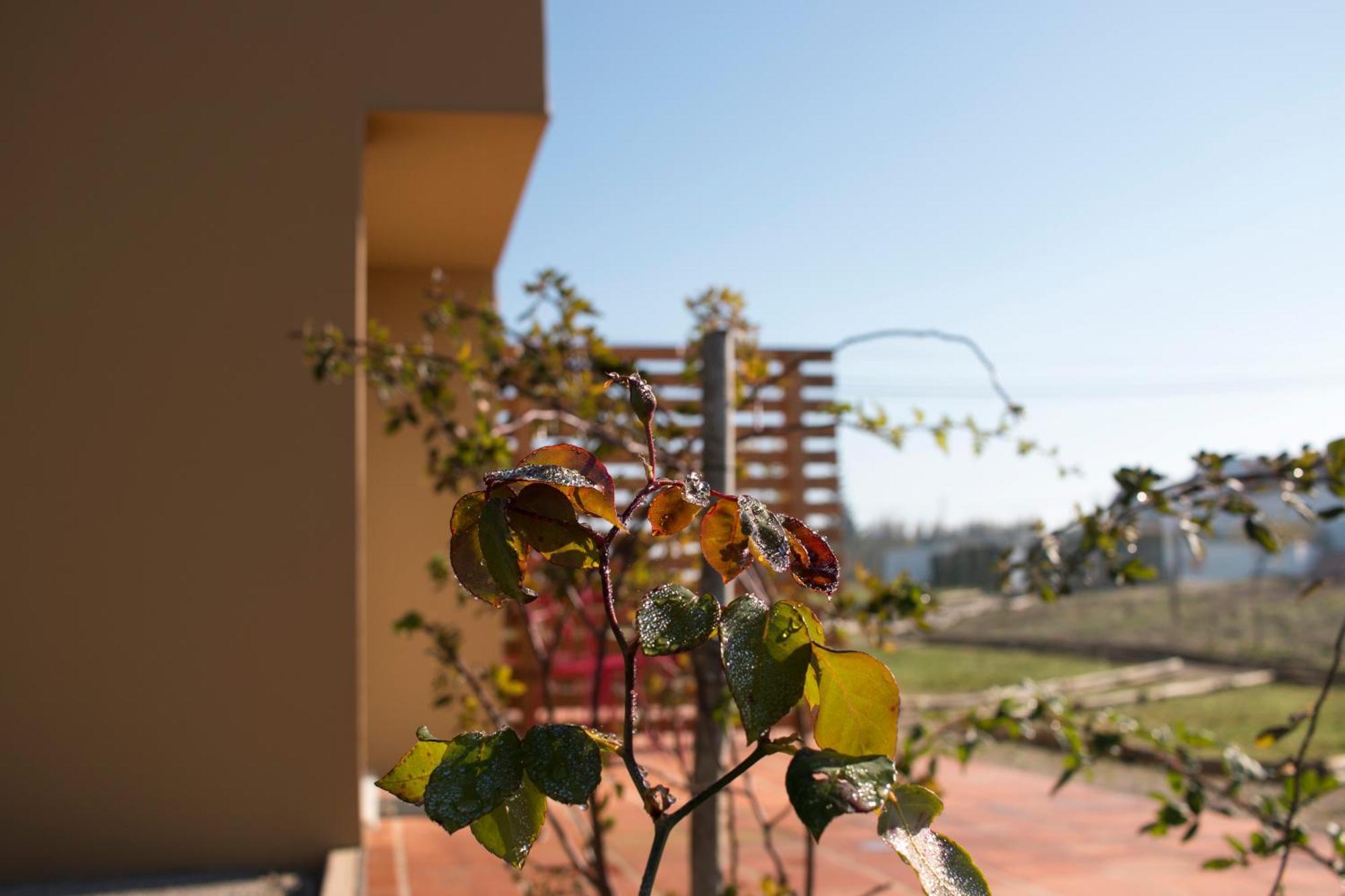 Entre Vinhas & Mar Villa Obidos Ngoại thất bức ảnh
