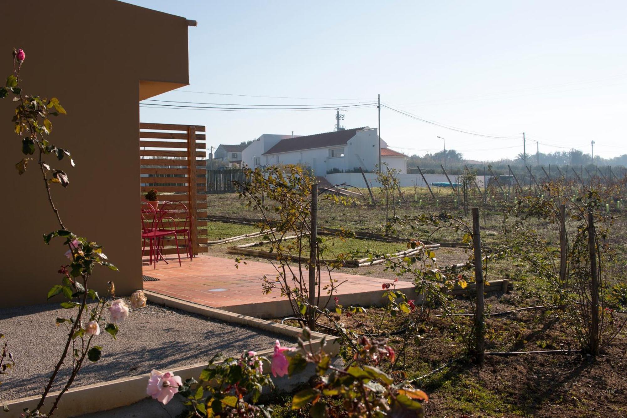 Entre Vinhas & Mar Villa Obidos Ngoại thất bức ảnh